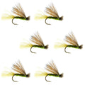 Olive X Caddis Emerger Caddis Trockenfliege für Forellen – 6 Fliegen Hakengröße 14