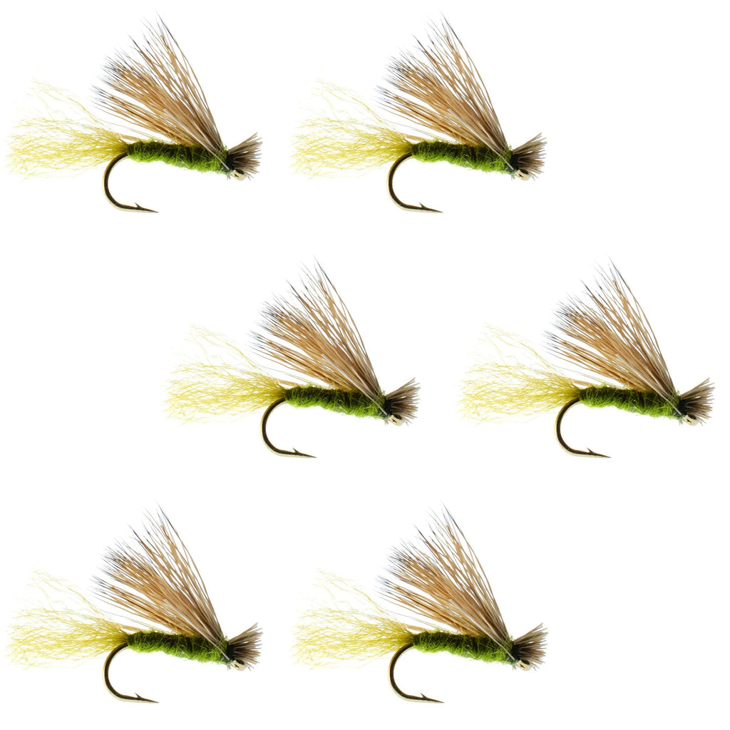 Olive X Caddis Emerger Caddis Trockenfliege für Forellen - 6 Fliegen Hakengröße 16