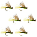 Olive X Caddis Emerger Caddis Trockenfliege für Forellen - 6 Fliegen Hakengröße 16